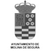 ajuntamiento-molina-segura-escudo